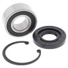 HD Inner Primary Bearing Kit All Balls Racing IPB25-3102 upgrade